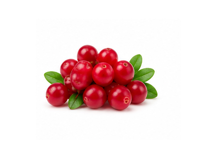 Quercetin Dihydrate